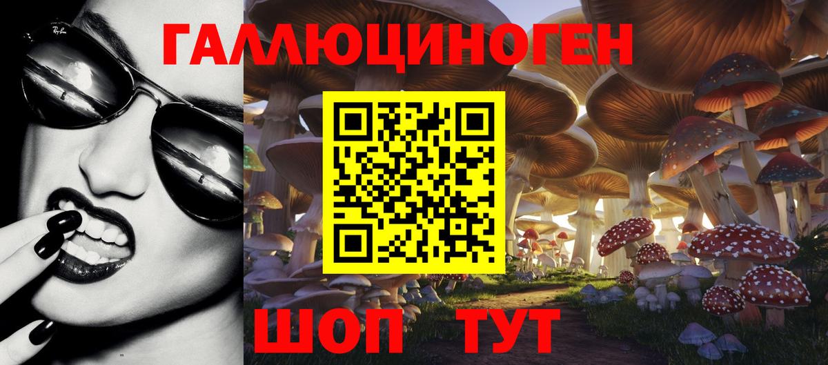 Среднеуральск  Псилоцибиновые грибы Cubensis  Вход с VPN 